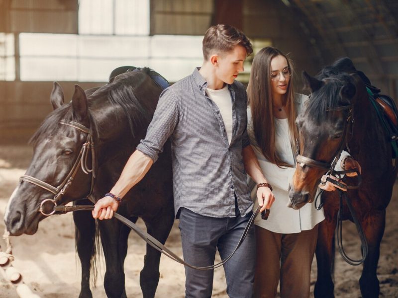 Jak ujeżdżalnie dla koni mogą poprawić efektywność twojego gospodarstwa?